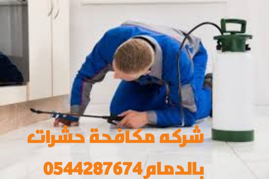 شركة مكافحة حشرات بالقطيف