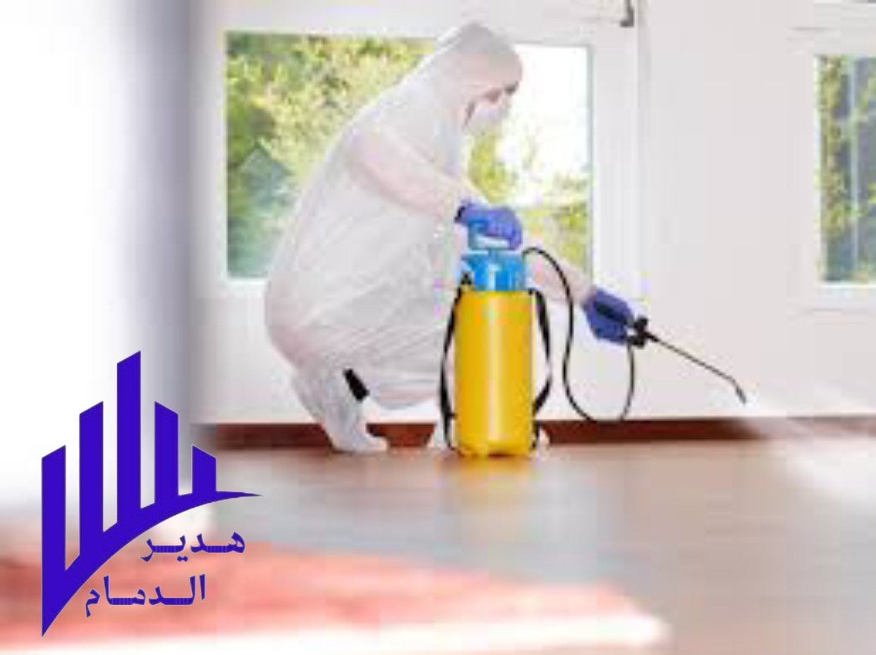 شركة مكافحة حشرات بالأحساء