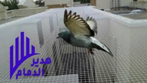 تركيب طارد حمام 